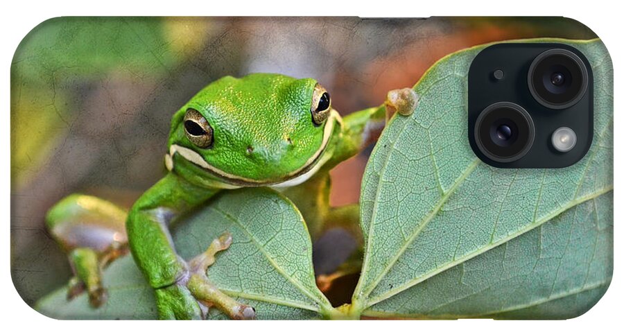 Frog iPhone Case featuring the photograph Smilin' Tree Frog by Debbie Portwood