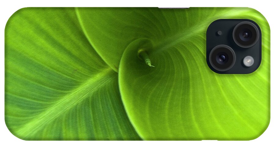Heiko iPhone Case featuring the photograph Green Twin Leaves by Heiko Koehrer-Wagner