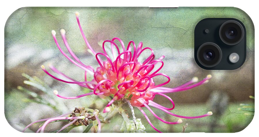 Flowers Pink iPhone Case featuring the photograph Grevillea by Linda Lees