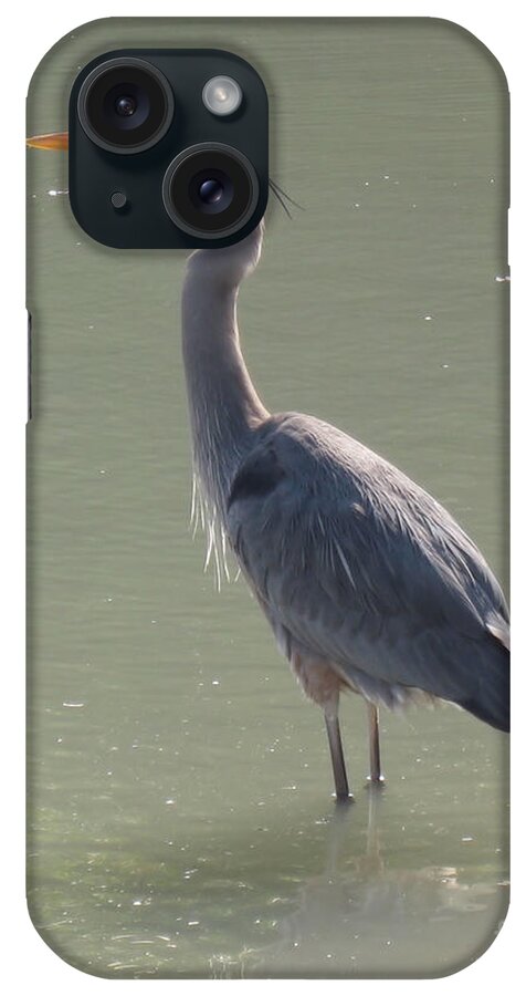 Bird iPhone Case featuring the photograph Grey Bird by Oksana Semenchenko