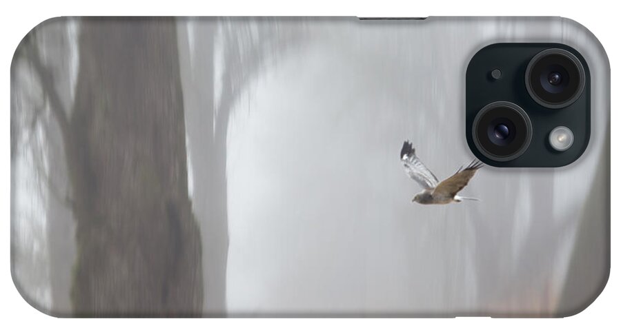 Grey Ghost iPhone Case featuring the photograph Grey Ghost by Angie Vogel