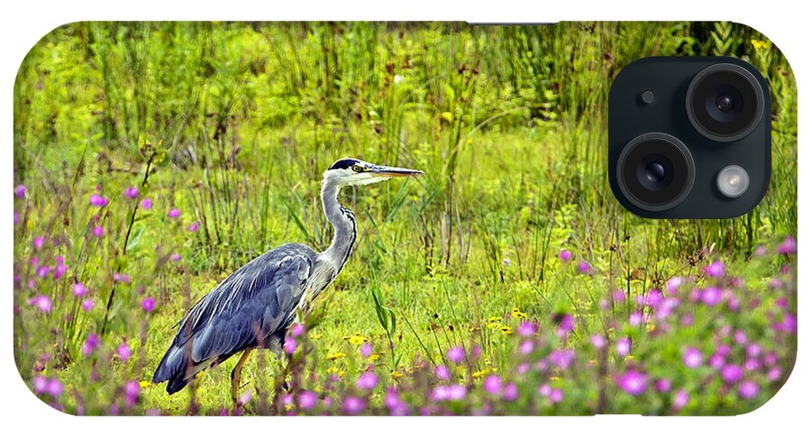 Greyheron iPhone Case featuring the photograph Grey Heron stalking in margins. by Paul Scoullar