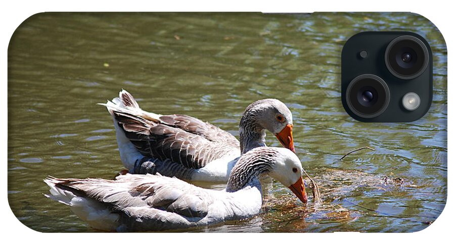 Geese iPhone Case featuring the photograph Greylag Geese 20130512_58 by Tina Hopkins