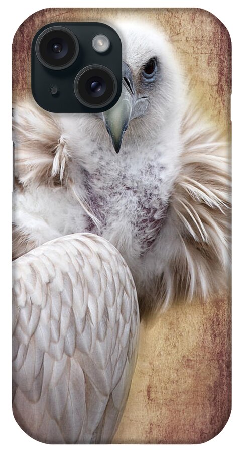 Vulture iPhone Case featuring the photograph Griffon Vulture by Barbara Orenya