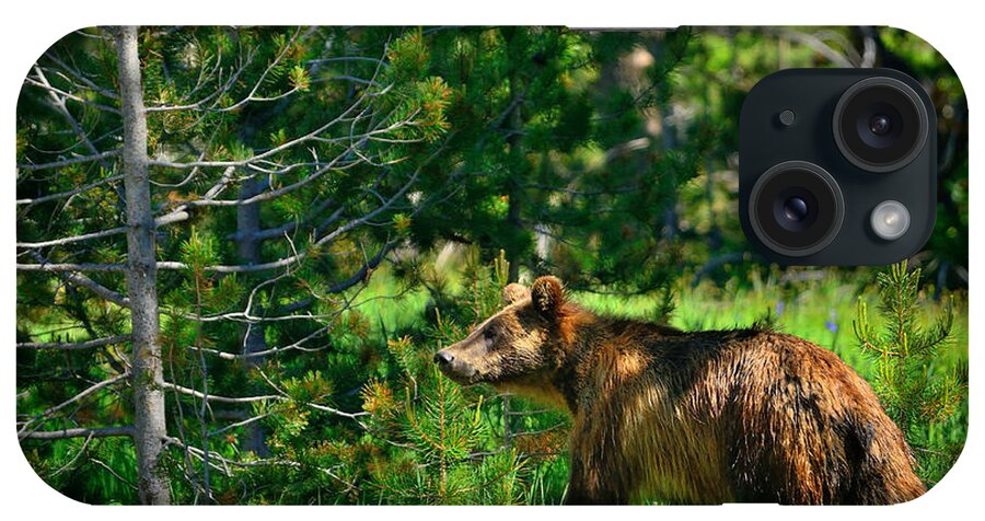 Grizzly iPhone Case featuring the photograph Grizzly Bear 760 by Greg Norrell