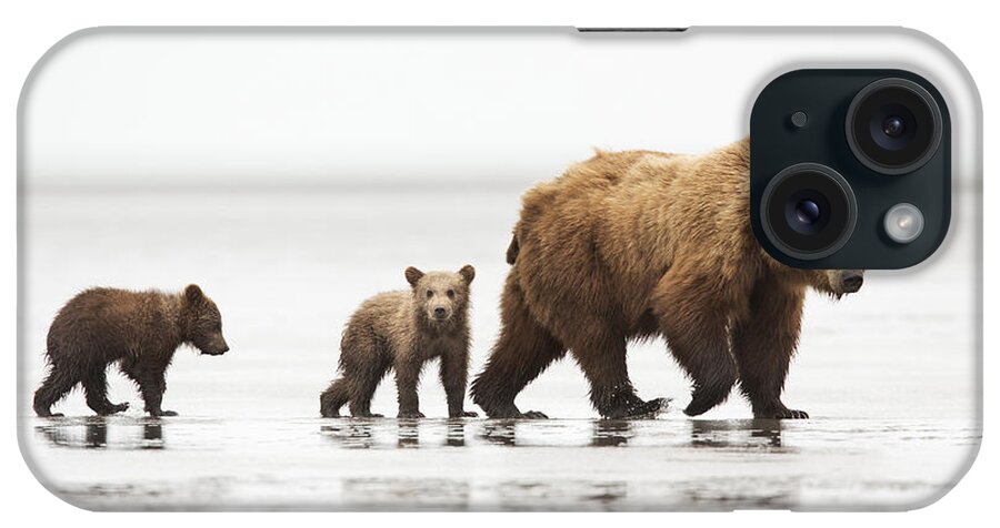 Richard Garvey-williams iPhone Case featuring the photograph Grizzly Bear Mother And Cubs Lake Clark by Richard Garvey-Williams