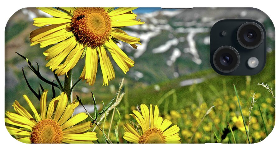 Guardian Of The Mountain Top iPhone Case featuring the photograph Guardian of the Mountain Top by George Buxbaum