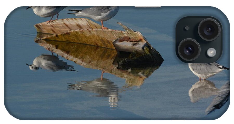 Gulls iPhone Case featuring the photograph Gulls on a Sunken Boat by Dan Williams