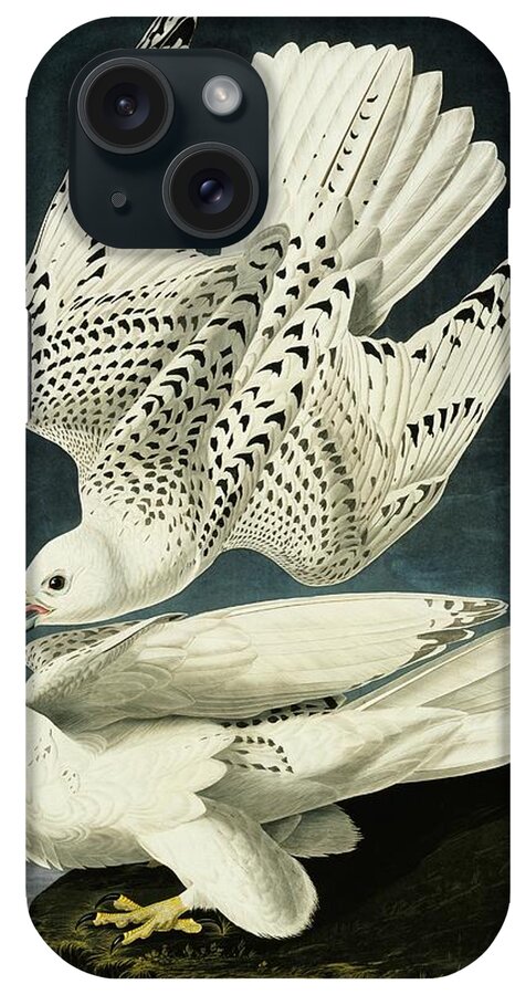 Illustration iPhone Case featuring the photograph Gyrfalcon Pair by Natural History Museum, London/science Photo Library