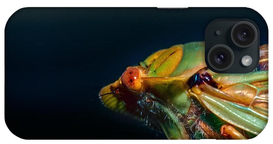 Insect iPhone Case featuring the photograph Hairy by Mark Lucey