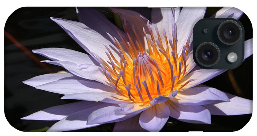 Flower iPhone Case featuring the photograph Half and Full by John Cardamone