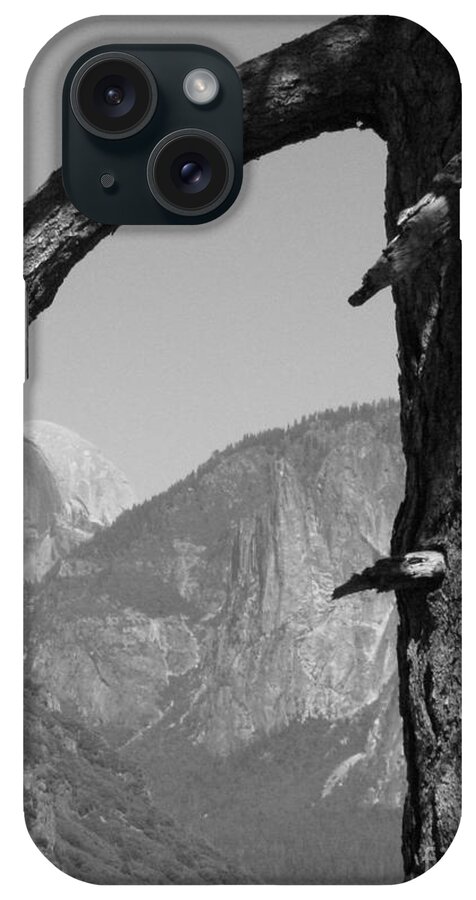 Sierra Nevada iPhone Case featuring the photograph Half Dome Through Branch black and white by Mini Arora