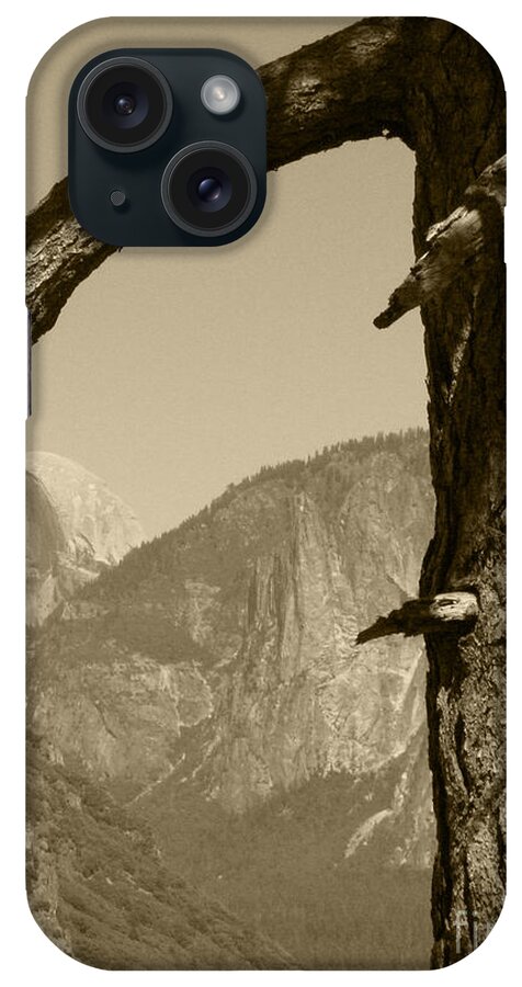 Yosemite National Park iPhone Case featuring the photograph Half Dome Through Branch Sepia by Mini Arora