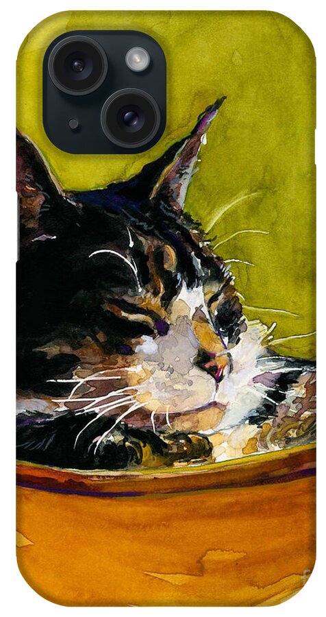 Cat Nap iPhone Case featuring the painting Hammock by Molly Poole