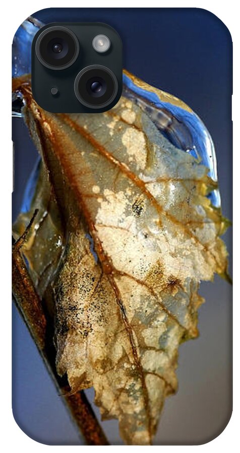 Leaf iPhone Case featuring the photograph The Last Leaf by Debbie Oppermann