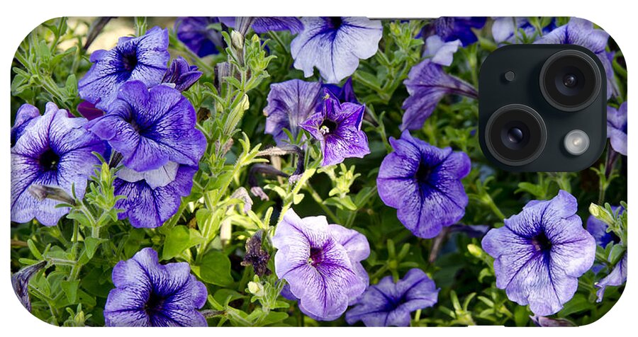 Petunias iPhone Case featuring the photograph Happy Flowers by Wilma Birdwell