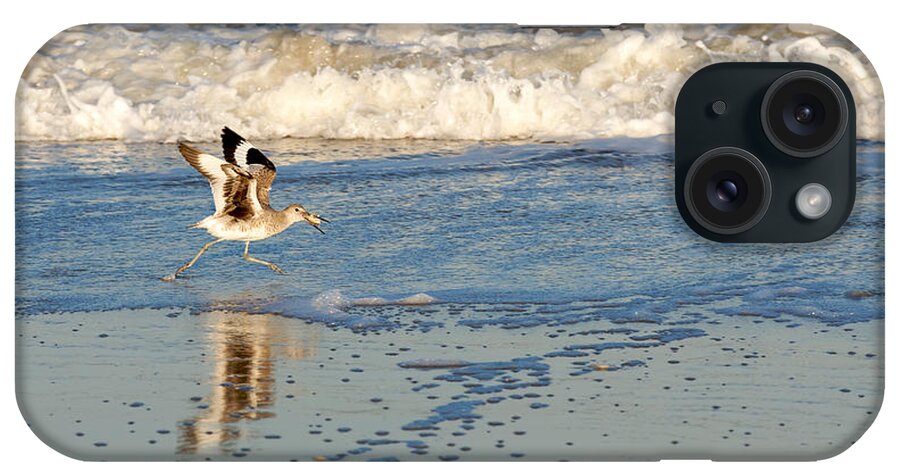 Surf iPhone Case featuring the photograph Happy Shorebird by David Kay