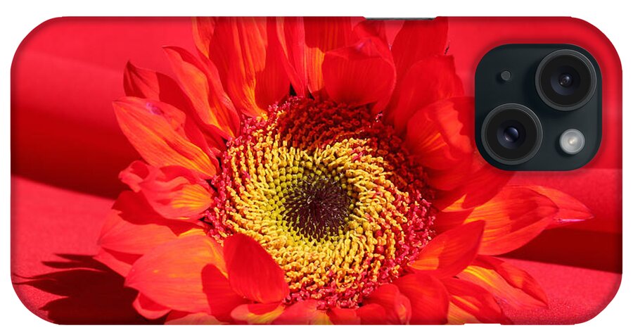 Happy Sunflower iPhone Case featuring the photograph Happy Sunflower by Kume Bryant