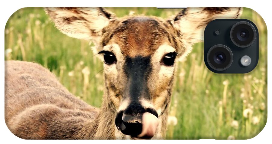 Deer iPhone Case featuring the photograph Happy by Tami Quigley