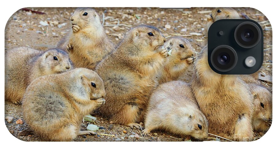 Prairie Dog iPhone Case featuring the photograph Happy Thanksgiving by Chris Scroggins
