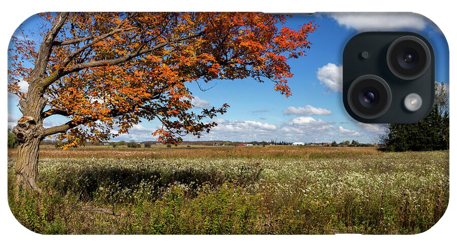 Tranquility iPhone Case featuring the photograph Happy Thanksgiving by Lisa Stokes