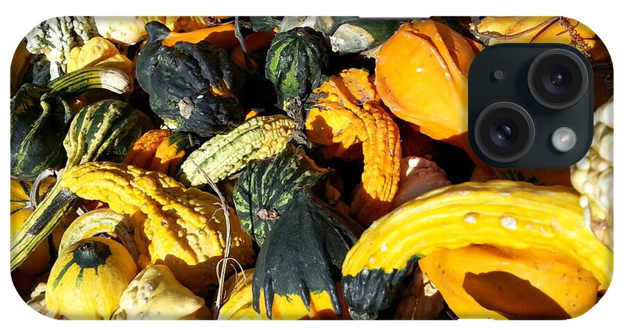 Orange iPhone Case featuring the photograph Harvest Squash by Caryl J Bohn