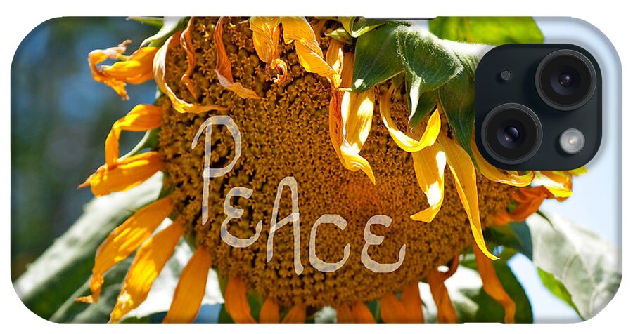 Sunflower iPhone Case featuring the photograph Harvesting Peace by Gwyn Newcombe