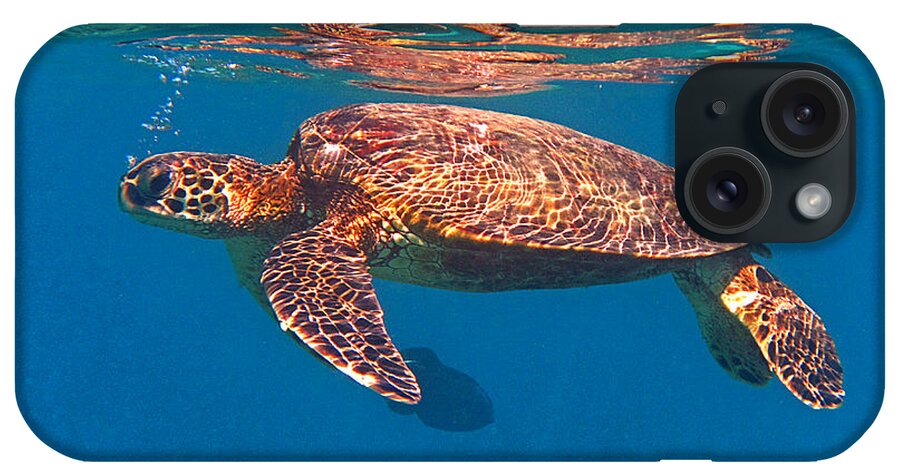 Green Sea Turtle iPhone Case featuring the photograph Hawaiian Sea Turtle in Flight by Bette Phelan