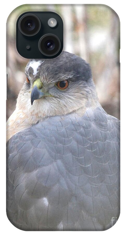 Hawk iPhone Case featuring the photograph Hawk 13528-2 by Robert E Alter Reflections of Infinity