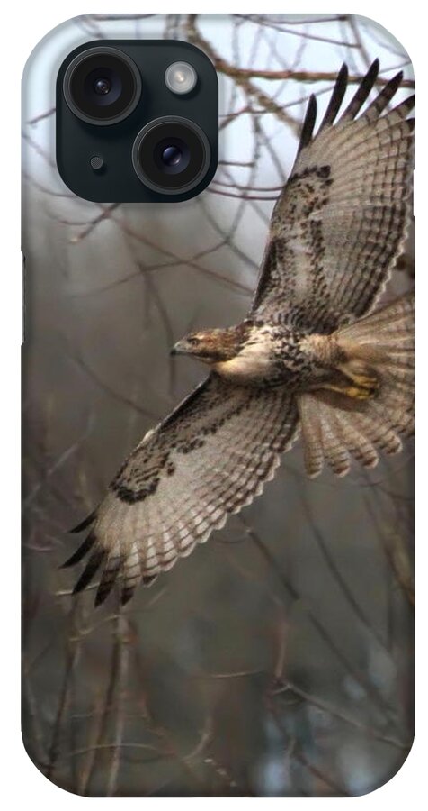 Hawk iPhone Case featuring the photograph Hawk in Flight by Angie Vogel