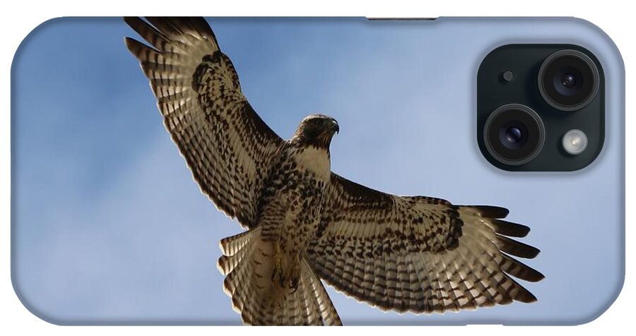 Hawk iPhone Case featuring the photograph Hawk in Flight by Christy Pooschke