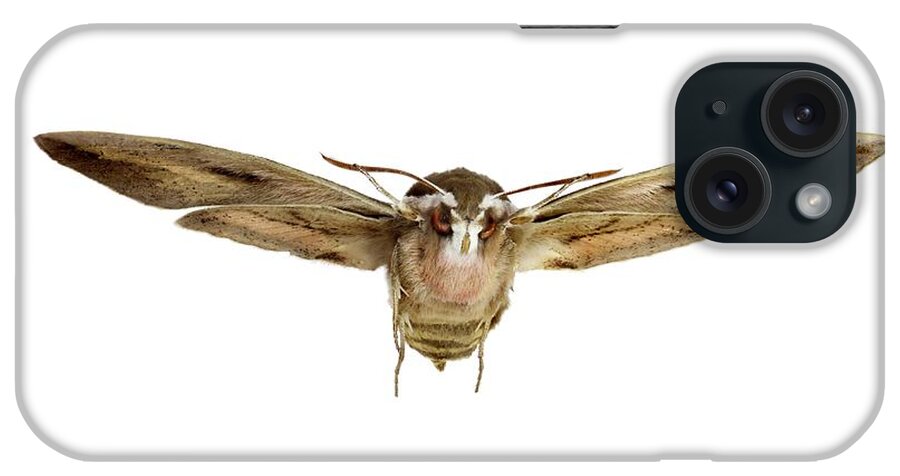1 iPhone Case featuring the photograph Hawk Moth In Flight by F. Martinez Clavel