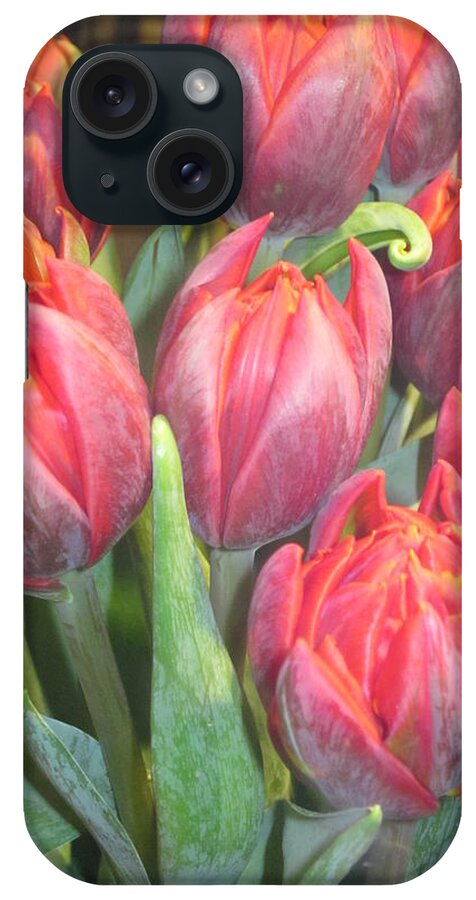 Flowerromance iPhone Case featuring the photograph Hazardous beauty by Rosita Larsson