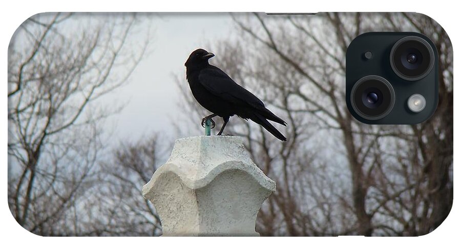 Crow And Trees iPhone Case featuring the photograph He Owns It by Gothicrow Images