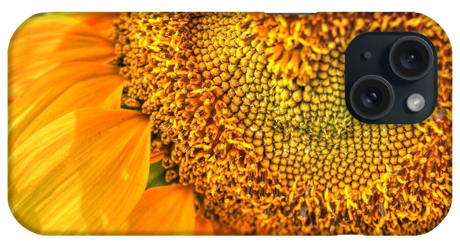 Sunflower iPhone Case featuring the photograph Heart-felt Sunflower by Scott Carlton