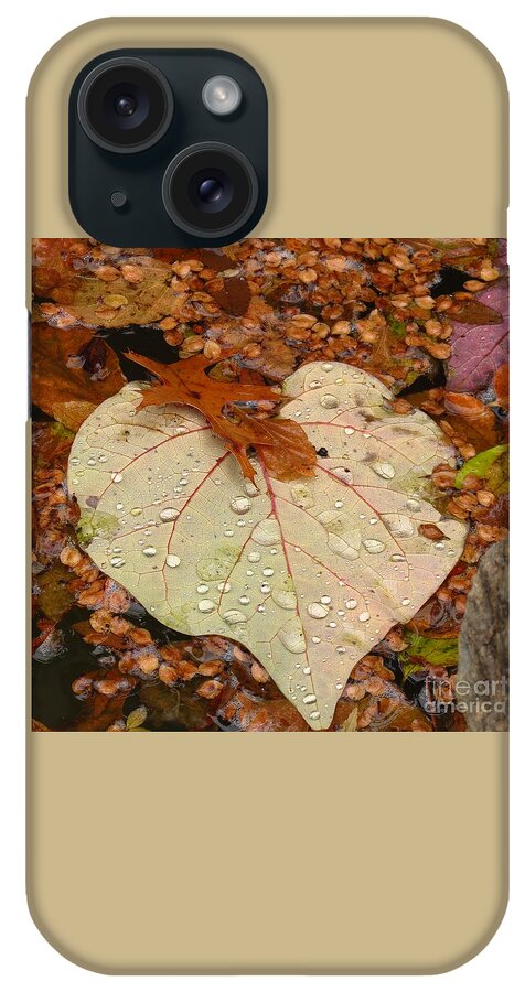 Nature iPhone Case featuring the photograph Heart Leaf by Anita Adams