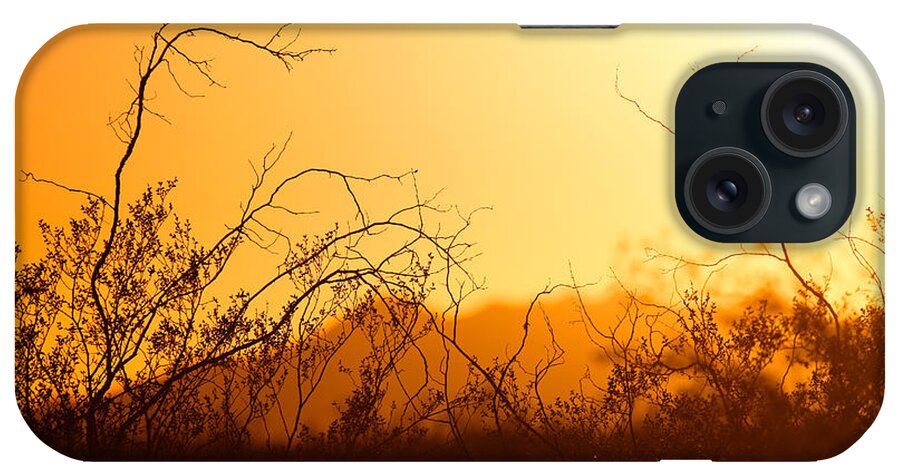 Heat iPhone Case featuring the photograph Heat of the Day by Brad Brizek