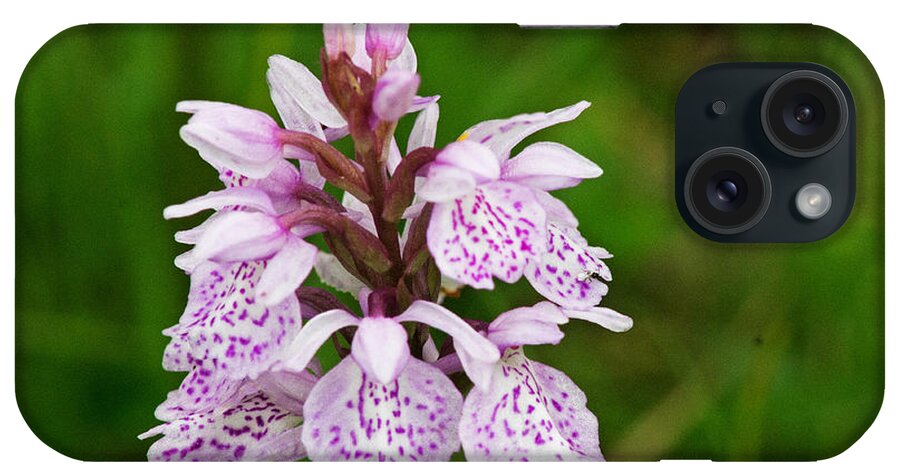 Orchid iPhone Case featuring the photograph Heath Spotted Orchid by Tony Murtagh