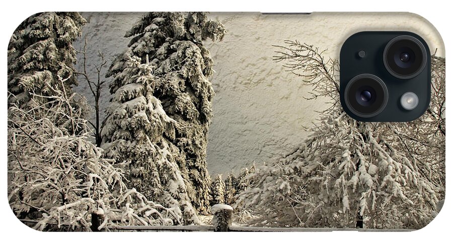 White Christmas iPhone Case featuring the photograph Heavy Laden Blizzard by Lois Bryan