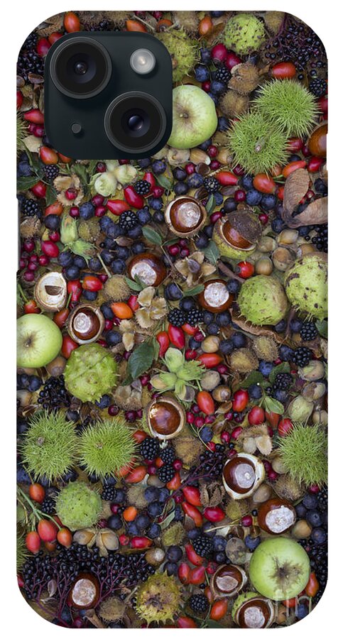 Hedgerow iPhone Case featuring the photograph Hedgerow Harvest by Tim Gainey
