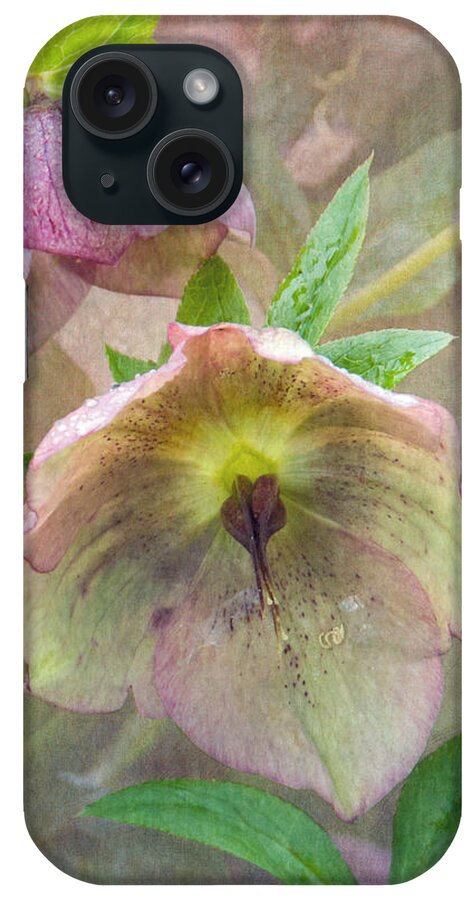 Hellebore iPhone Case featuring the photograph Hellebore Flower by Angie Vogel