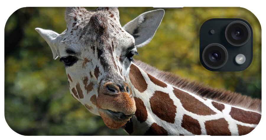 Giraffe iPhone Case featuring the photograph Hello by Jackson Pearson