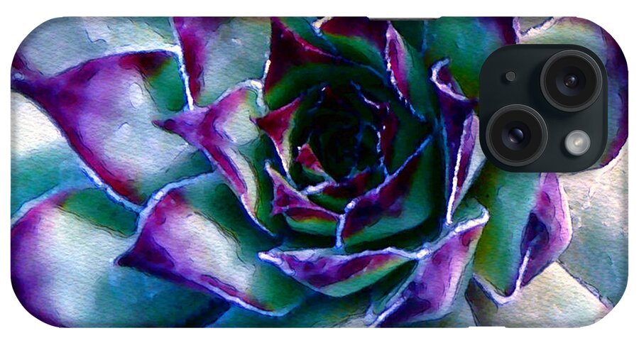 Hens And Chicks Photography iPhone Case featuring the photograph Hens and Chicks series - Evening Hues by Moon Stumpp
