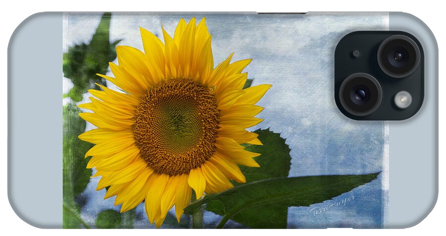 Sunflower iPhone 15 Case featuring the photograph Her Majesty by Terri Harper