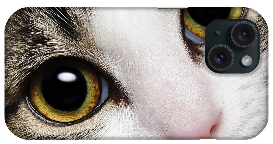 Acat iPhone Case featuring the photograph Here Kitty Kitty Close Up by Andee Design