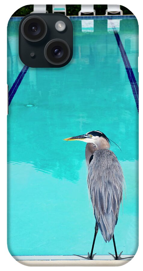 Swimming Pool iPhone Case featuring the photograph Heron At Pool by Thomas Winz