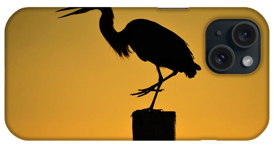 Heron iPhone Case featuring the photograph Heron at Sunrise by Leticia Latocki