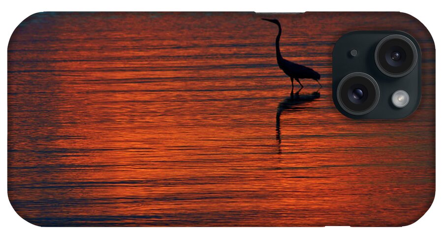 Daniel Woodrum iPhone Case featuring the photograph Heron in the Water at Sunset by Daniel Woodrum
