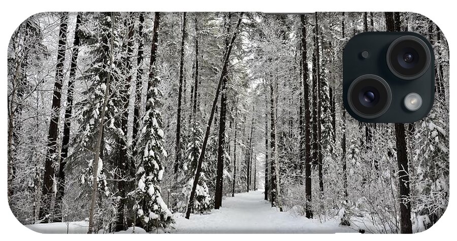 Winter Path iPhone Case featuring the photograph Hersey Lake winter path 3 by Elaine Berger