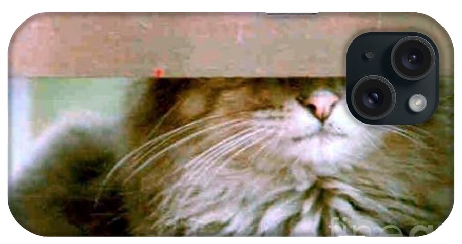 Cat iPhone Case featuring the photograph Hey Diddle Diddle by Michael Hoard